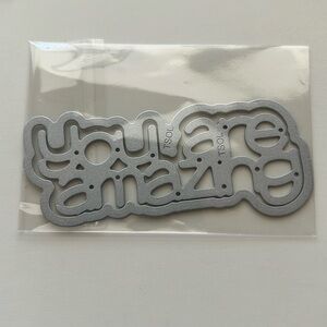 New TSOL “You are amazing” die